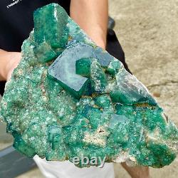 10.29LB Natural super beautiful green fluorite crystal mineral healing specimens