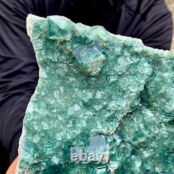 10.8LB natural super beautiful green fluorite crystal ore standard sample