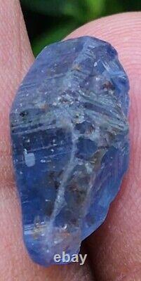 13.39cts Vivid Cornflower Blue Sapphire Crystal Natural Untreated Sri Lanka