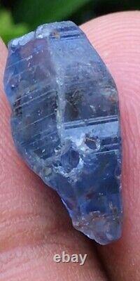 13.39cts Vivid Cornflower Blue Sapphire Crystal Natural Untreated Sri Lanka