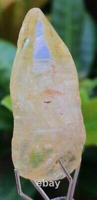 15.94cts Yellow Sapphire Glassy Body Skin Crystal Natural Untreated Sri Lanka