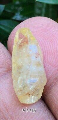 15.94cts Yellow Sapphire Glassy Body Skin Crystal Natural Untreated Sri Lanka