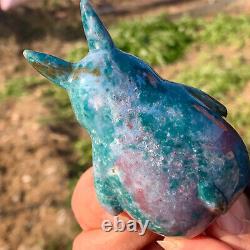 193G Natural marine jasper crystal carving dragon cat jasper super large gem