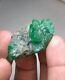 19 Grm Super Emerald Specimens From Pakistani Swat