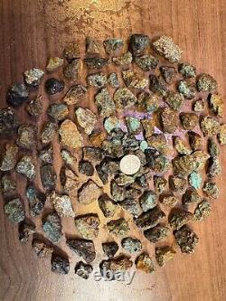 259 g Of Natural Gem Hard Turquoise/Old Bell Nugs! Phenomenal look, HIGH GRADE