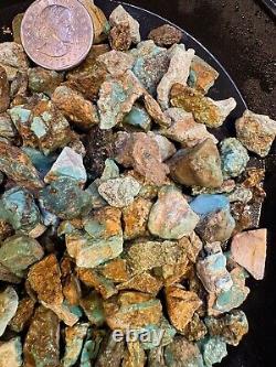 301 g Natural Gem Hard Turquoise/Old Bell Nugs! Smaller Nugs. HIGH GRADE AAA