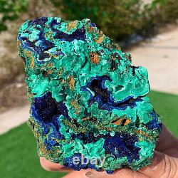 464G Super AA + + natural kyanite / Malachite crystal mineral sample