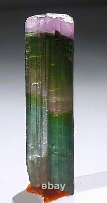 49 carats Super MultiColor DT Tourmaline crystal