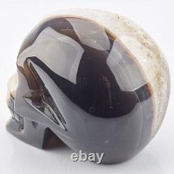 5.2 Natural Grey & White AGATE GEODE Carved Crystal Skull, Super Realistic