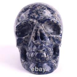 5.5 in Natural Sodalite Carved Crystal Skull, Reiki Healing, Super Realistic