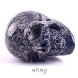5.5 in Natural Sodalite Carved Crystal Skull, Reiki Healing, Super Realistic