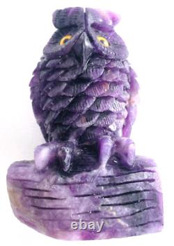 5.8'' Natural Fluorite Carved Crystal Owl Skull, Super Realistic, Crystal Healing