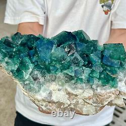 5.97LB Natural super beautiful green fluorite crystal mineral healing specimens