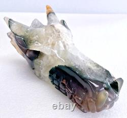 5'' Natural Agate Carved Crystal Dragon Skull, Super Realistic, Crystal Healing