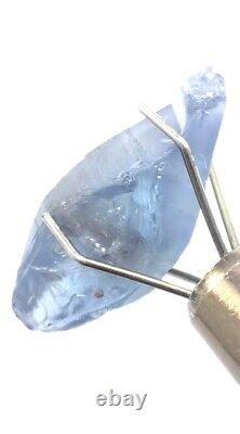 7.68cts Cornflower Blue Sapphire Crystal Natural Untreated Sri Lanka