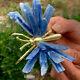 83g natural beautiful kyanite crystal hole super large gem Butterfly