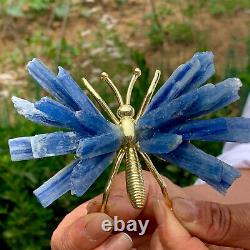 83g natural beautiful kyanite crystal hole super large gem Butterfly