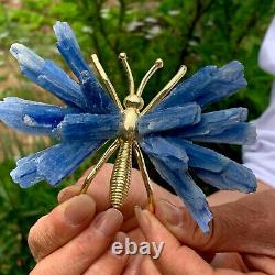 84g natural beautiful kyanite crystal hole super large gem Butterfly