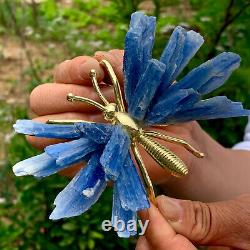 84g natural beautiful kyanite crystal hole super large gem Butterfly