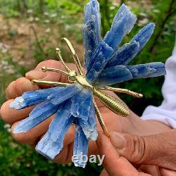 85g natural beautiful kyanite crystal hole super large gem Butterfly