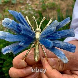 91g natural beautiful kyanite crystal hole super large gem Butterfly