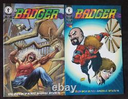 BADGER! 103 issues & HEXBREAKER gn! 7 complete series! Image IDW First'98-'08