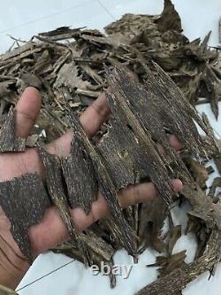 Collectibles 1000 Grams Super Aceh Natural Agarwood Oud Aquilaria Mallacencis