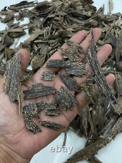 Collectibles 1000 Grams Super Aceh Natural Agarwood Oud Aquilaria Mallacencis