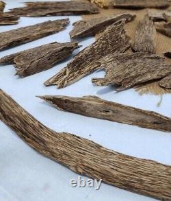 Collectibles 100 Grams Super Sumatra Tabii Natural Agarwood Oud Aquilaria