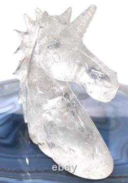 Collectibles 4'' Natural Carved Crystal Geode Cute Unicorn skull, Super Realistic