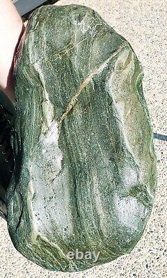 Giant Super Green Serpentinized Natural Wood Specimen X Dense 17+lbs