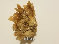 Golden Selenite Flower Formation Super Rare
