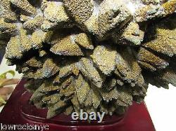 Rarest on Ebay 22.9 kgs / 50 PYRITE Mineral Specimen Its Beyond Super