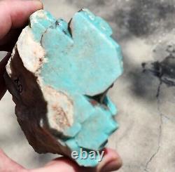 Super Choice Robin Egg BLUE Amazonite Crystal with Albite From Colorado Textbook