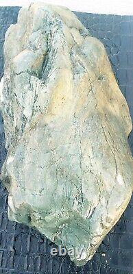 Super Large Piece Of Natural Blue Agatized Petrified Wood