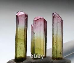 Super Lesterous Bi Color Terminated Tourmaline Crystal's From Afghanistan Paprok