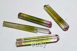 Super Lesterous Bi Color Terminated Tourmaline Crystal's From Afghanistan Paprok