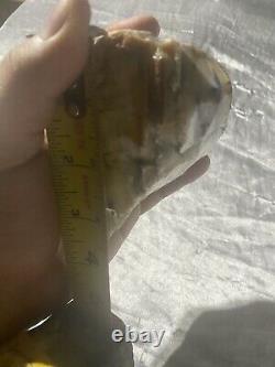 Super Rare Mt Shasta Badger Pocket Petrified dendrite Black Opal wood