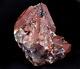 Super seven melody red capped stone psychic abilities spiritual elevation#4749