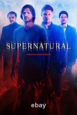 Supernatural Poster Collection Bundle (Set of 15) All 15 Seasons NEW USA