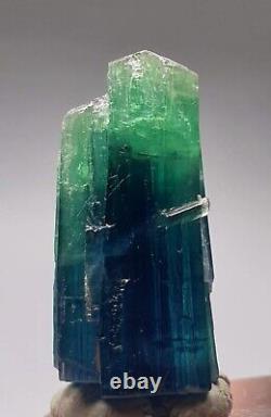 Tourmaline Crystal Bi Color Double Terminated Super Top Quality 19.60 Carats