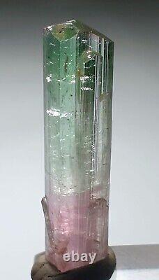 Tourmaline Crystal Tri Color Zoning Pink Cap Super Geemy Tourmaline Crystal