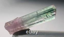 Tourmaline Crystal Tri Color Zoning Pink Cap Super Geemy Tourmaline Crystal
