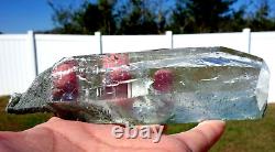 True Himalayan Super WATER CLEAR QUARTZ Scepter Crystal Point w Green Chlorite