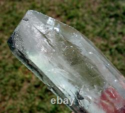 True Himalayan Super WATER CLEAR QUARTZ Scepter Crystal Point w Green Chlorite