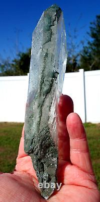 True Himalayan Super WATER CLEAR QUARTZ Scepter Crystal Point w Green Chlorite