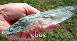 True Himalayan Super WATER CLEAR QUARTZ Scepter Crystal Point w Green Chlorite