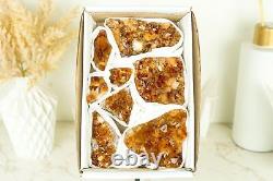 Wholesale Super Extra Quality Madeira Citrine Clusters Flat Box Mineral Flat