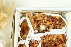 Wholesale Super Extra Quality Madeira Citrine Clusters Flat Box Mineral Flat
